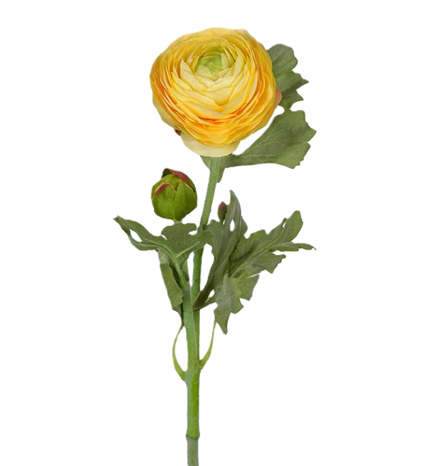 Ranunkel gul 50 cm