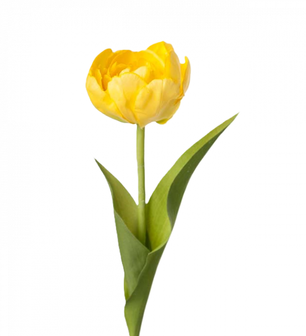 Tulpan gul 36 cm