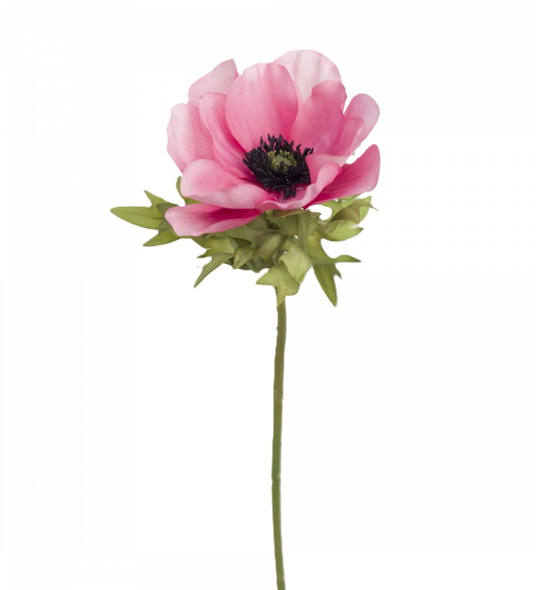 Anemon rosa 43 cm