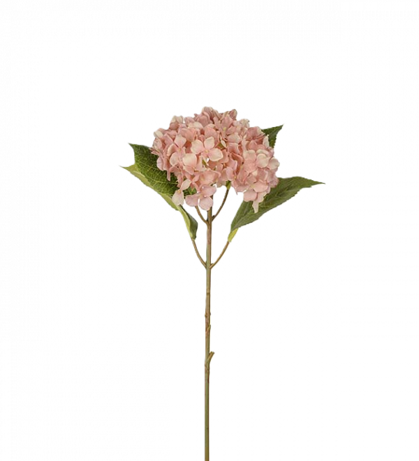 Hortensia rosa 40 cm