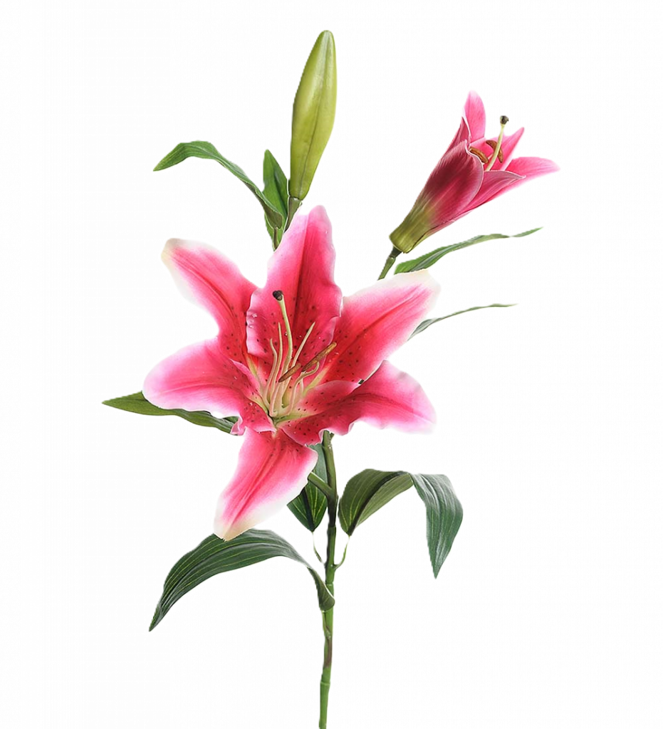 Lilja rosa 70 cm