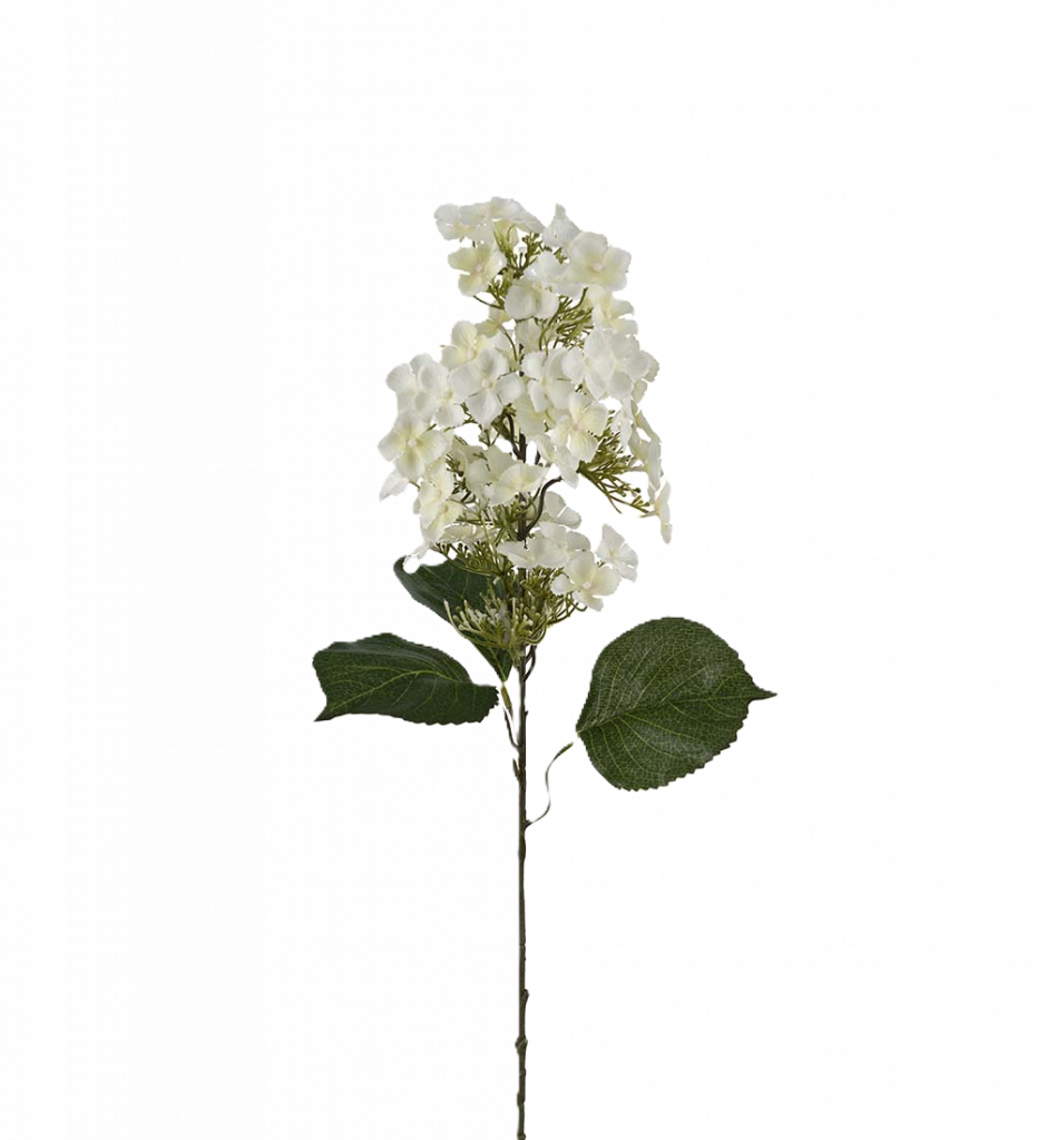 Syrénhortensia vit 80 cm