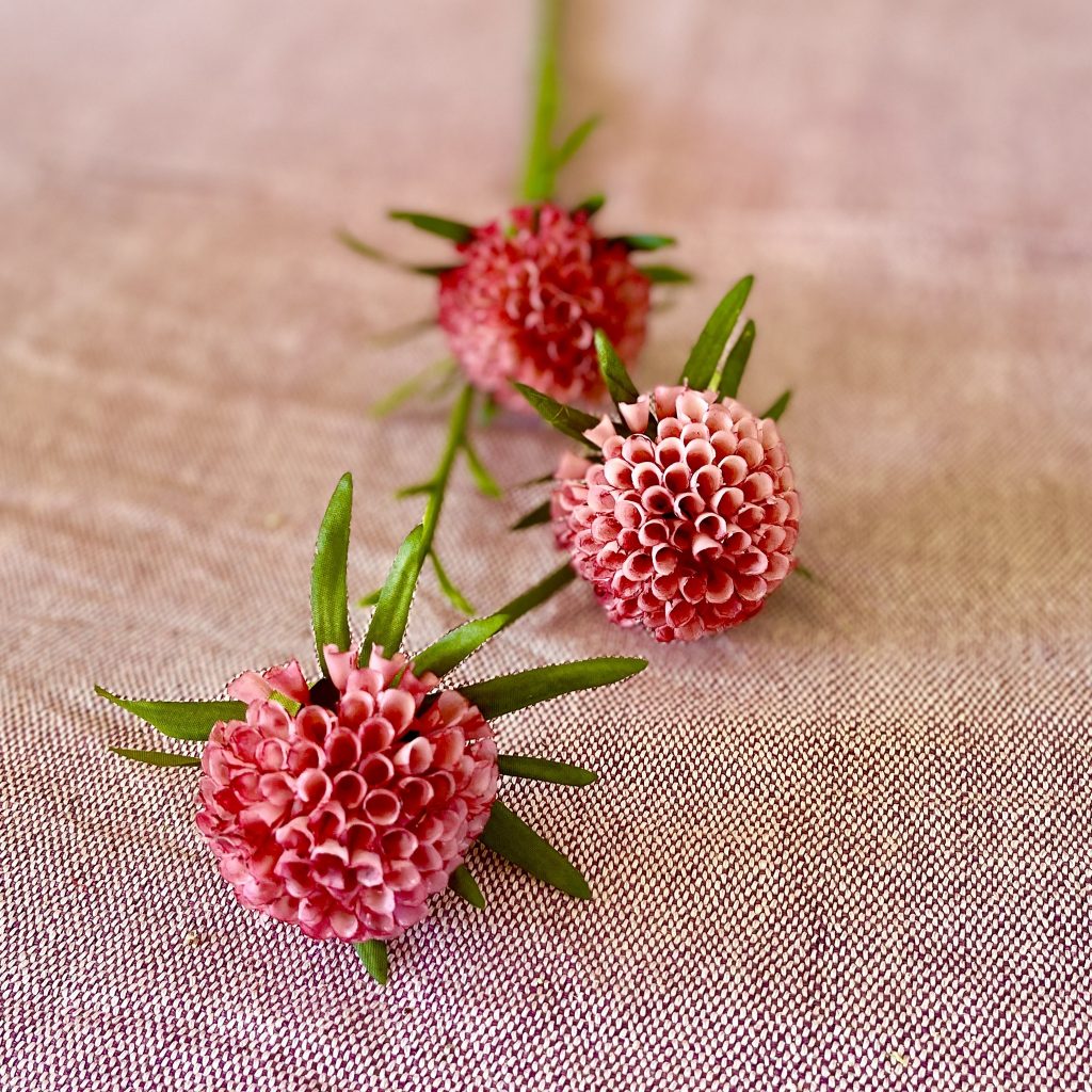 Amaranth rosa 60 cm