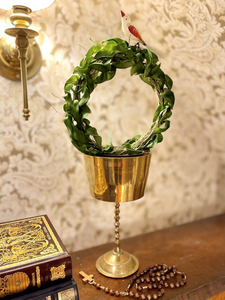 Hoya 30 cm