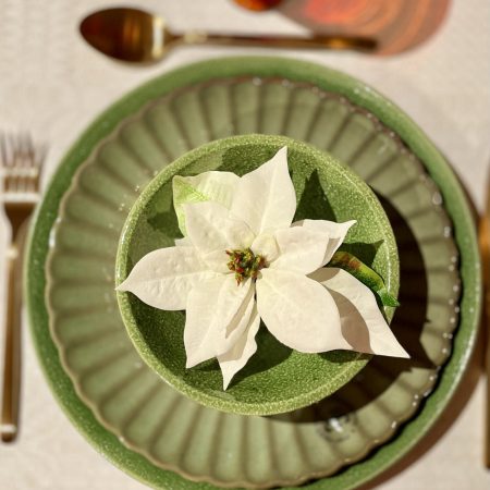 Vit julstjärna med clips